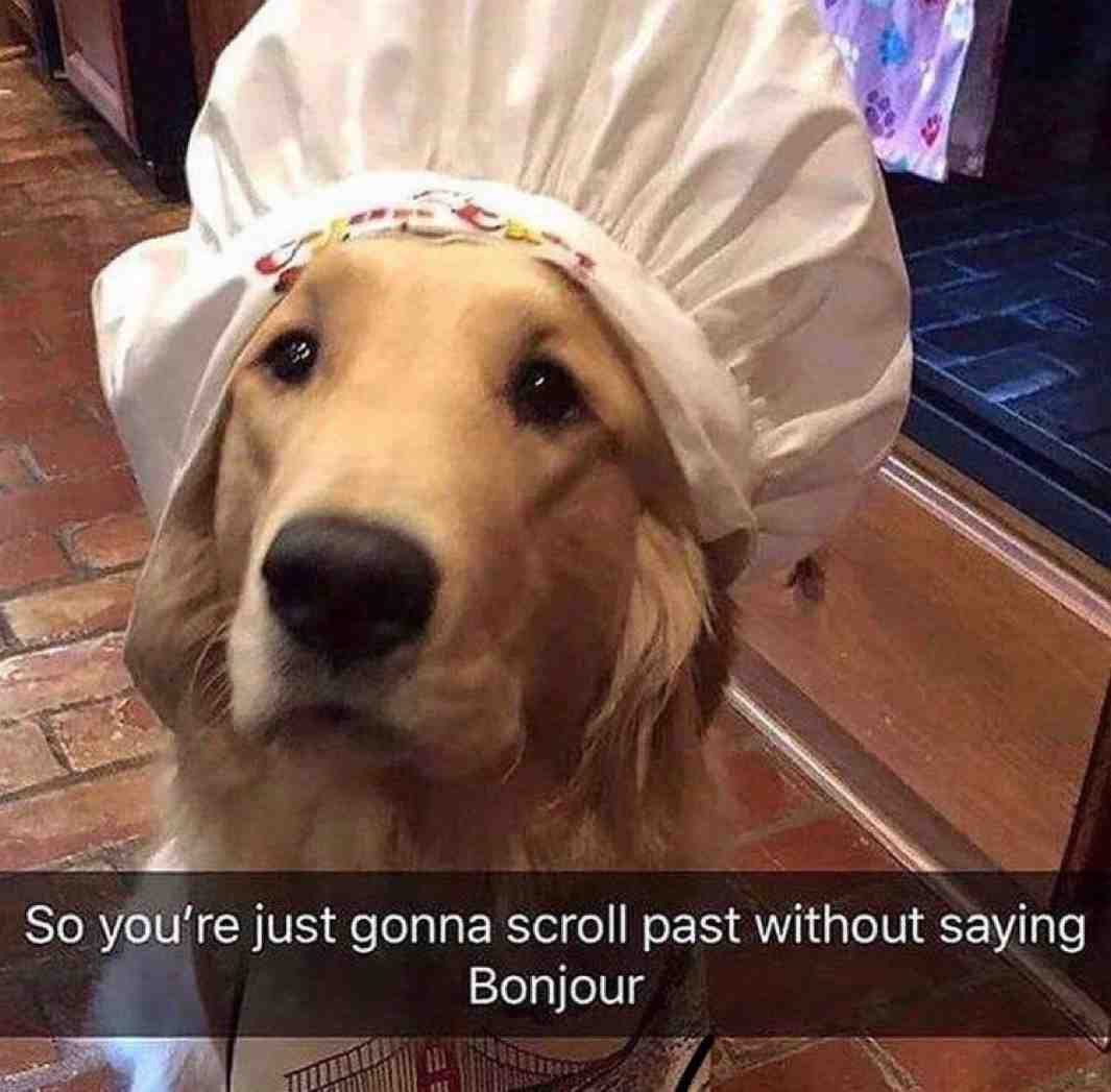 Bongo bongo dip