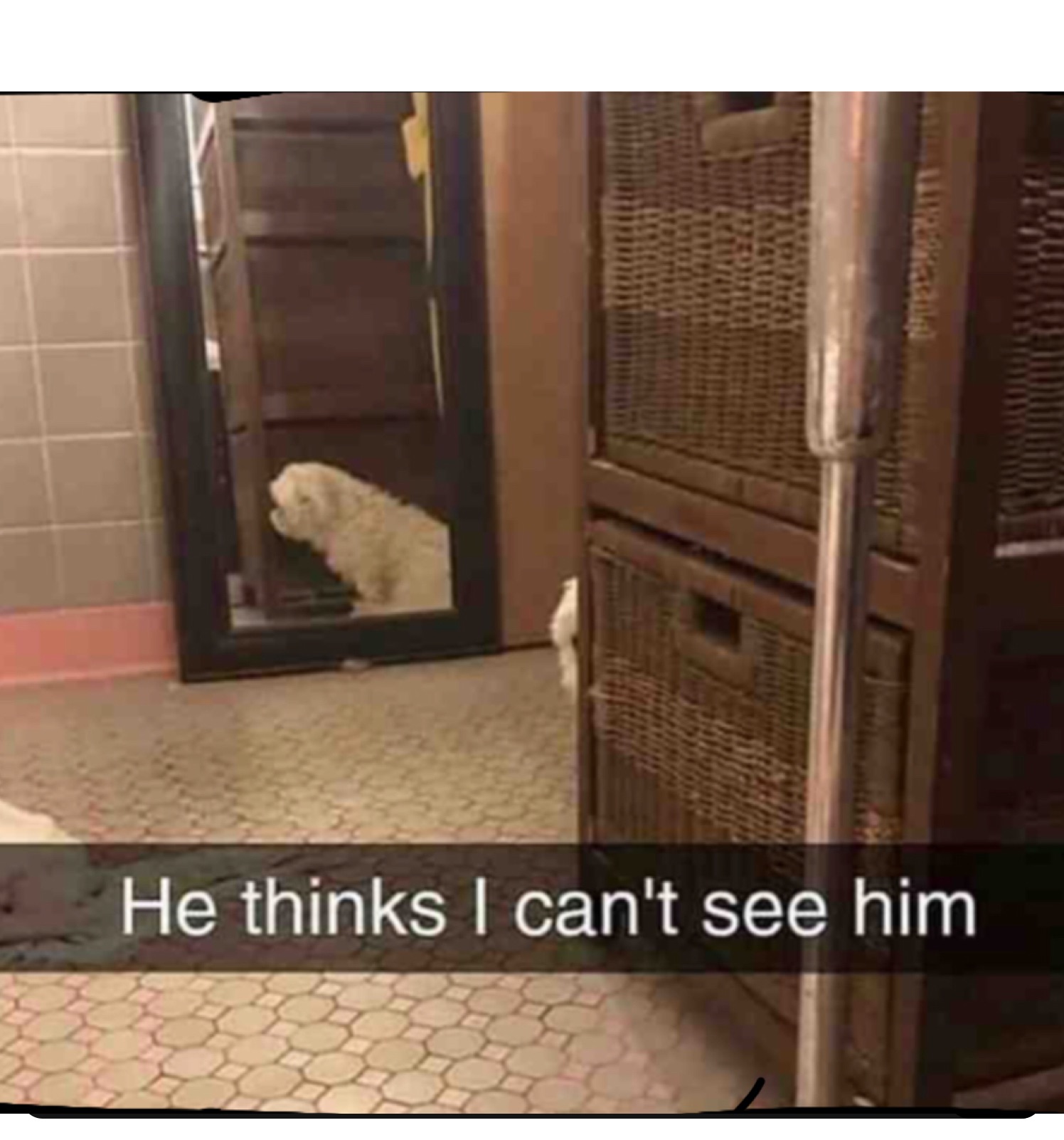 Sarcastic Memes Funny - sq3fr5u