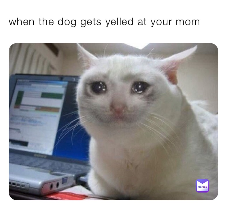 when the dog gets yelled at your mom