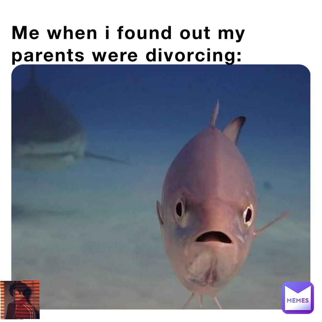 Me when i found out my parents were divorcing: