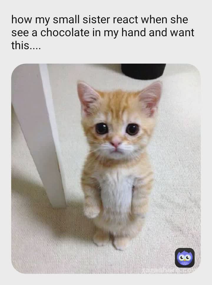 Meme by blue_beary_memes