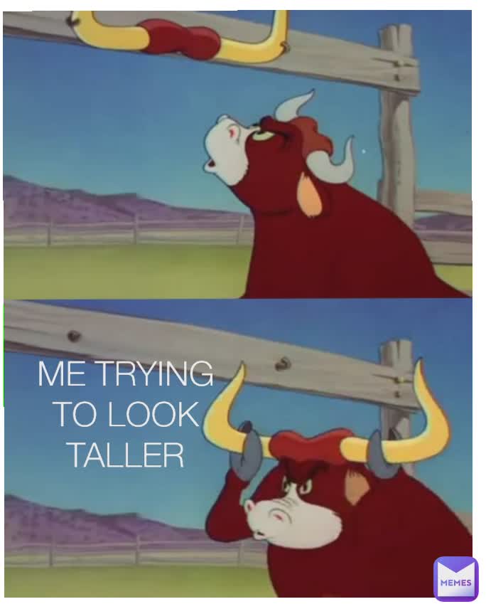 ME TRYING TO LOOK TALLER