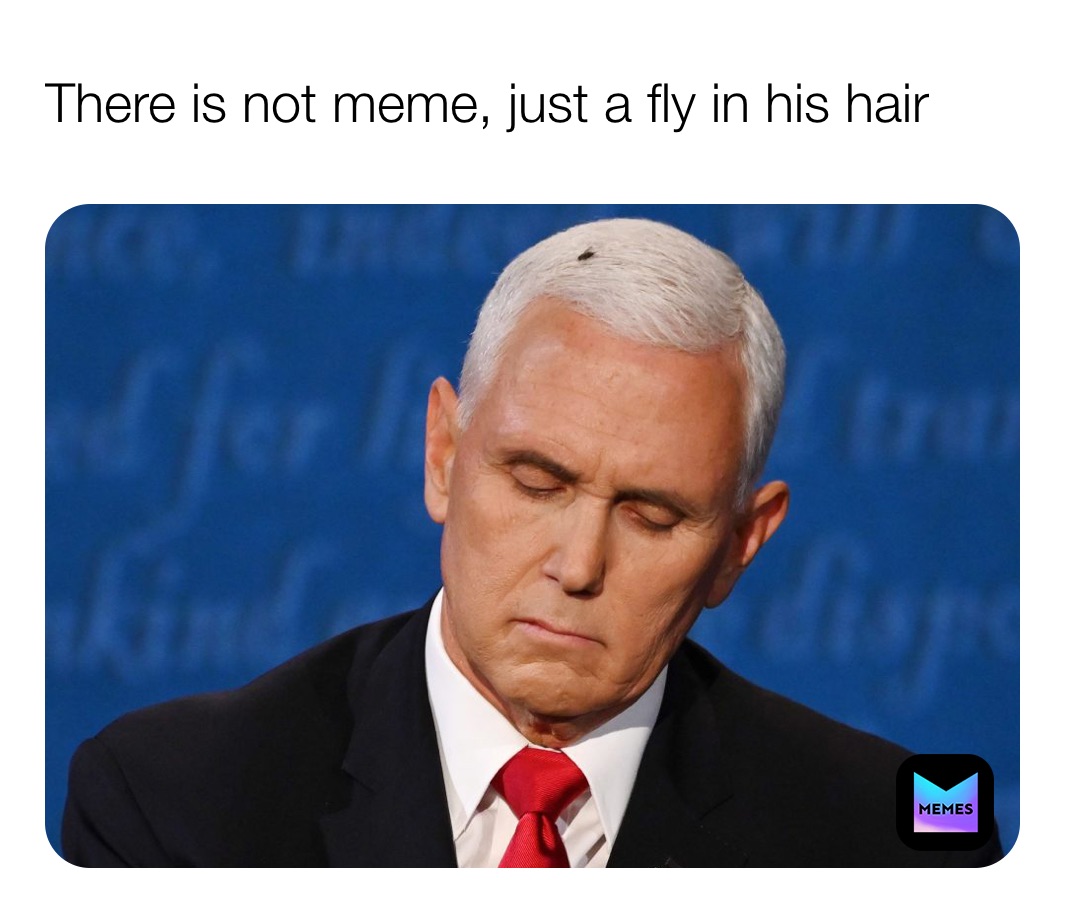 There is not meme, just a fly in his hair