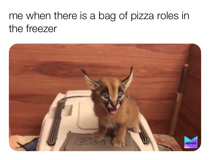 Meme by lordonionring13