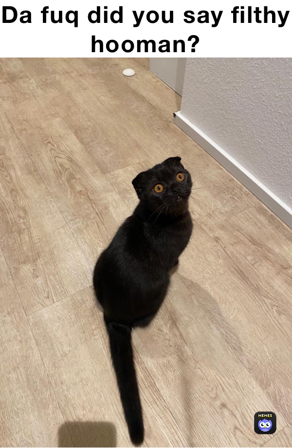 Da fuq did you say filthy hooman?