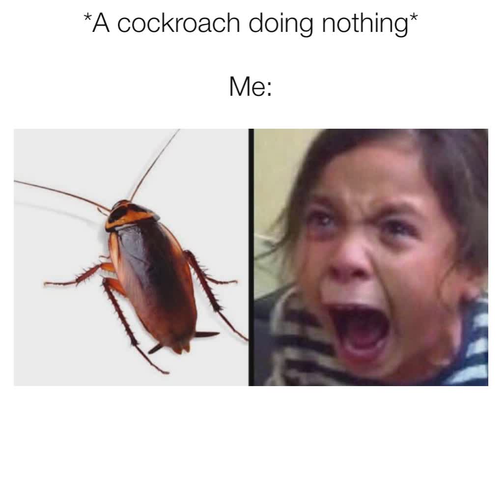 *A cockroach doing nothing*

Me: