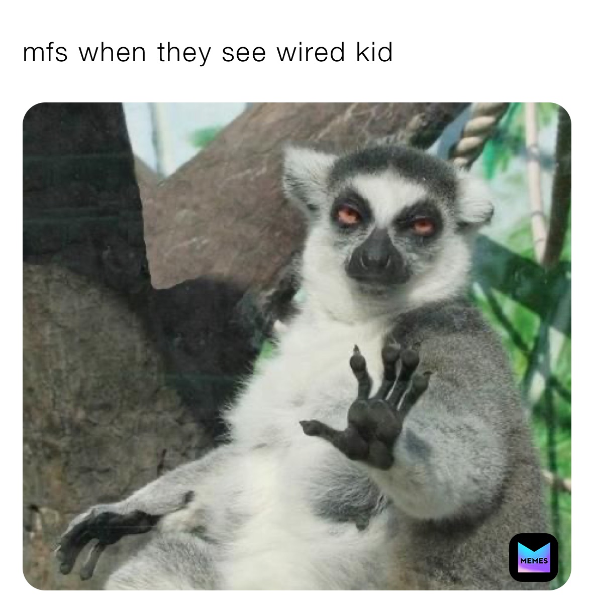 mfs when they see wired kid 