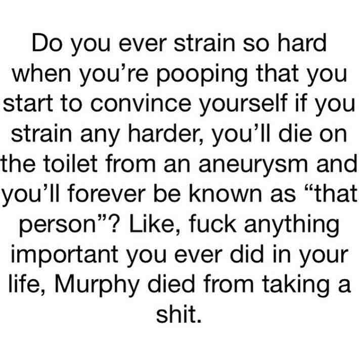 Shithead Murphy.
#toilet #toilethumor #toiletjokes #bathroom #bathroomhumor #bathroomjokes #poop #pooping #poophumor #poopinghumor #poopjokes #waystodie #1000waystodie #oops #ohno #thatguy #funny #funnymeme #funnymemes #meme #memes #murphyslaw #jadedmurphy
