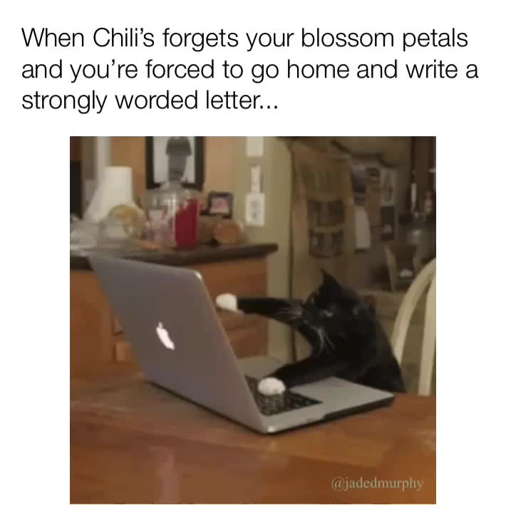 You don\u2019t fuck with a person\u2019s blossom petals.\u2063
\u2063
 #chilis  #blossompetals  #strongly  #stronglywordedletter  #manager  #wherethemanager  #ineedtospeaktothemanager   #karen  #karenmemes  #funny  #funnymeme  #funnymemes  #meme  #memes  #murphyslaw  #jadedmurphy