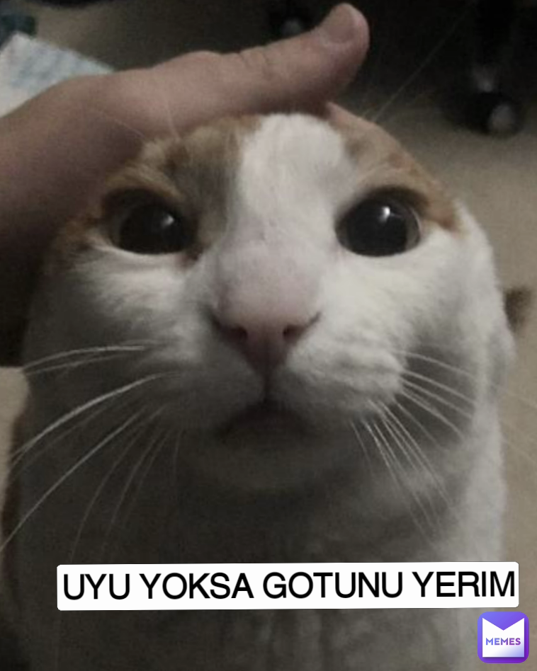 UYU YOKSA GOTUNU YERIM