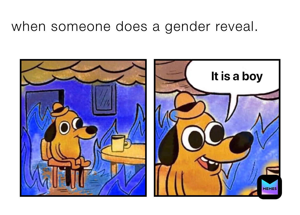 when someone does a gender reveal.