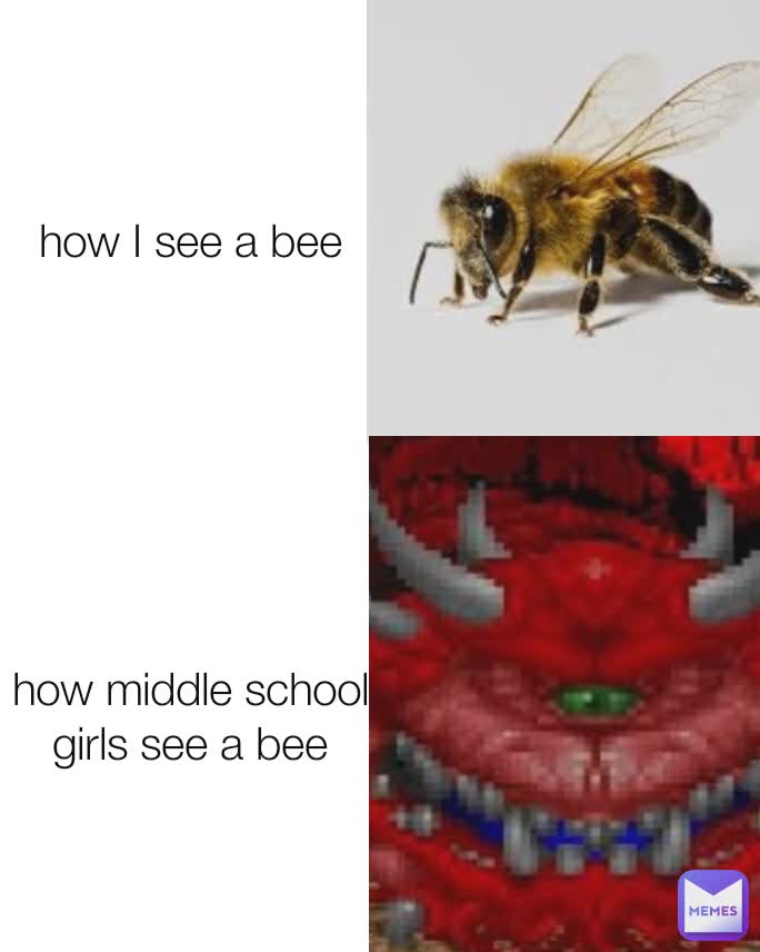 how I see a bee how middle school girls see a bee