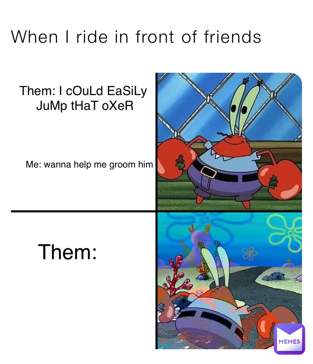 When I ride in front of friends Them: I cOuLd EaSiLy
 JuMp tHaT oXeR Me: wanna help me groom him Them: