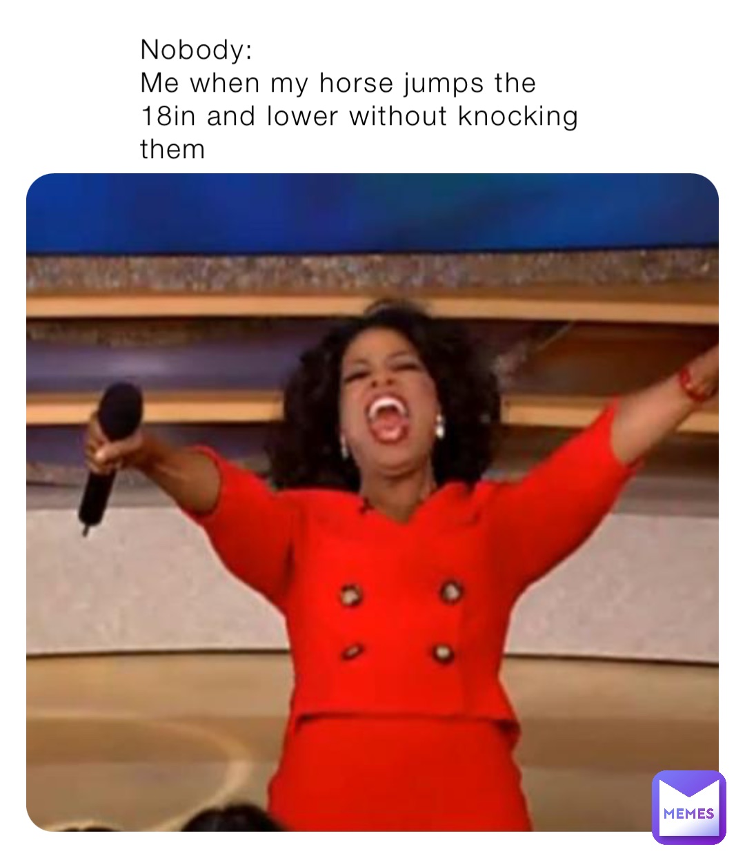 Nobody:
Me when my horse jumps the 18in and lower without knocking them