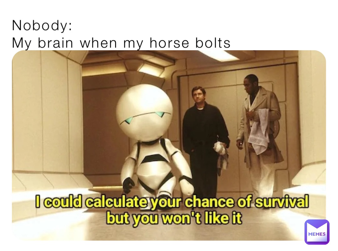 Nobody:
My brain when my horse bolts