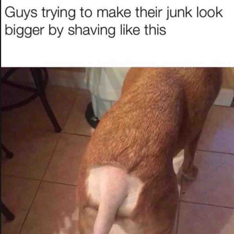 Bruh 😂😂 #bae #funny #relatable #memes #dankmemes #dailymemes