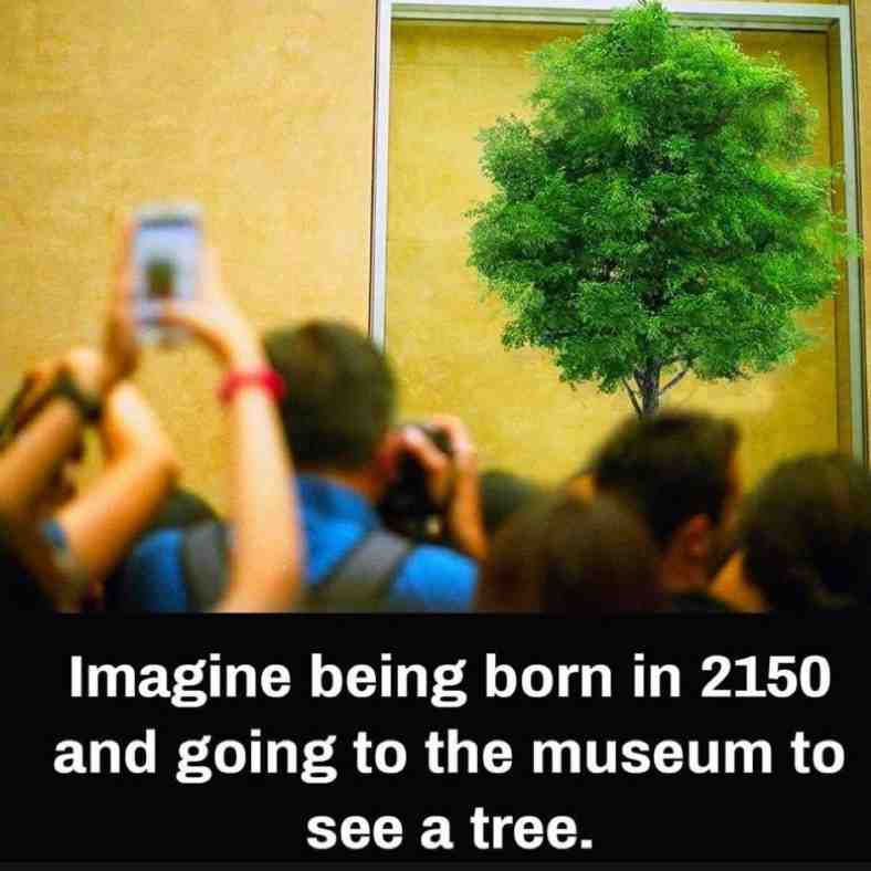 #funny #memes #dankmemes #dailymemes