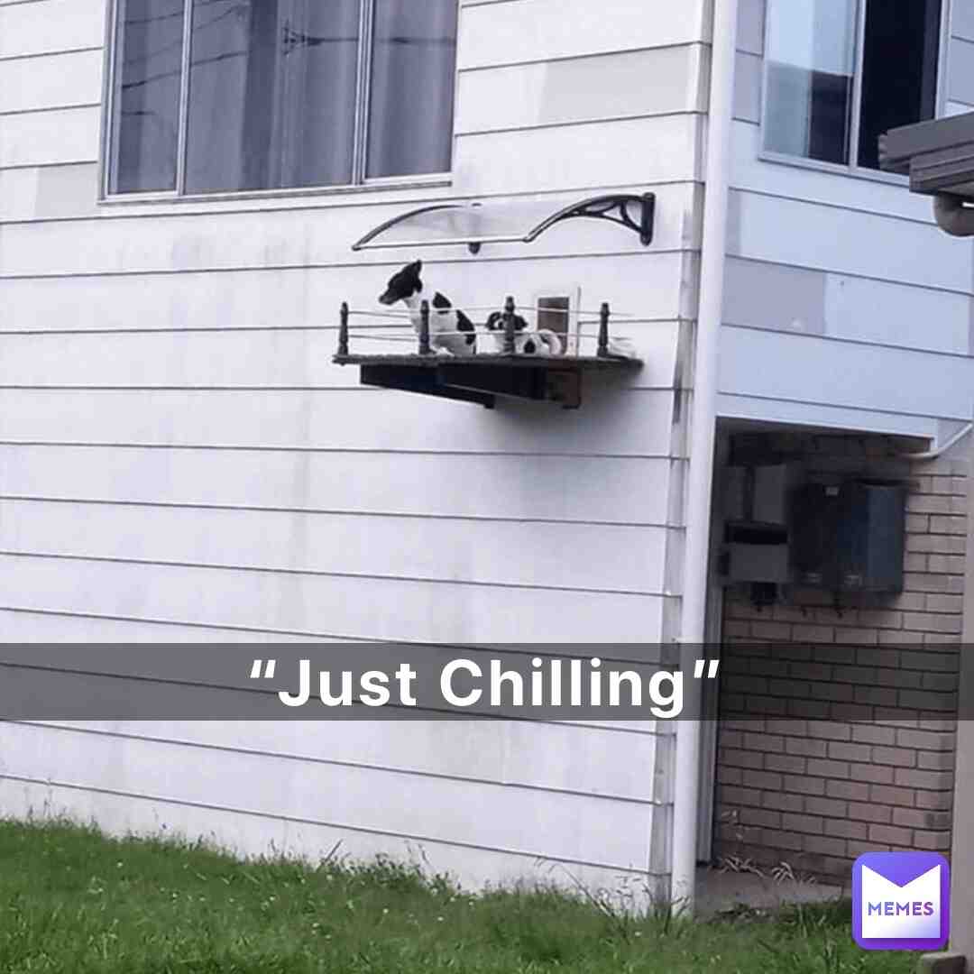 #funny #memes #helpme