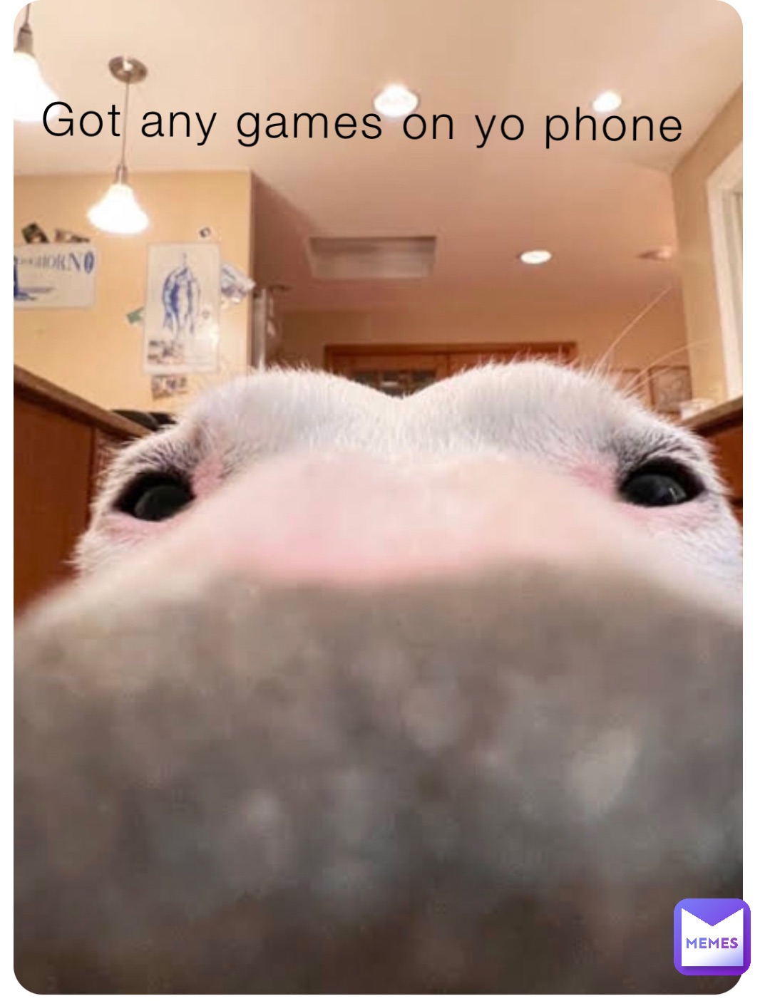 Got any games on yo phone