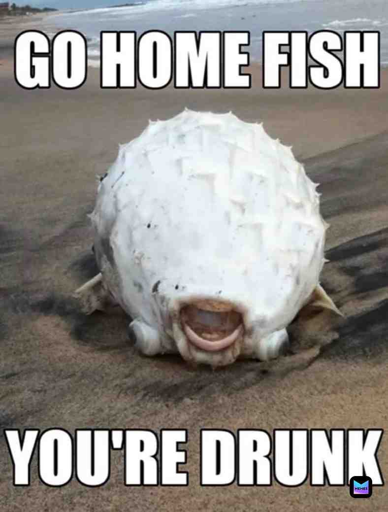 #fish  #oof  #omg  #home  #go  #funny