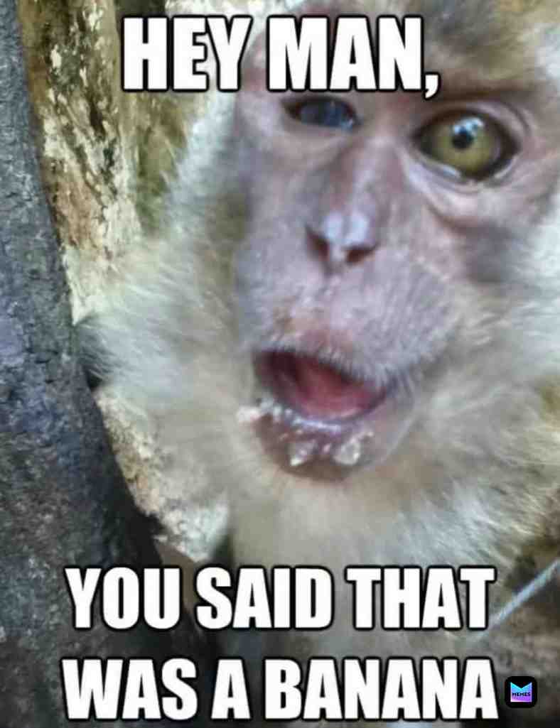#drunk  #banana  #man  #pension  #monkey  #oof  #happy  #fun  #sad  #angry  #idk