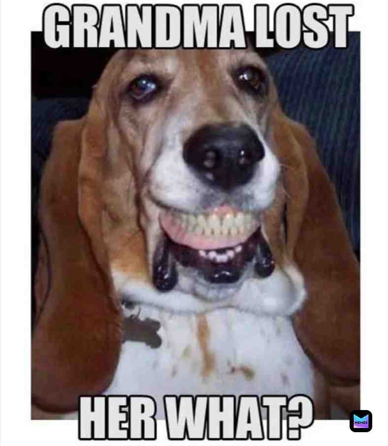 #dog  #smile  #grandma  #lost  #happy  #fun  #memes  #oof  #lol  #XD  #Lmao