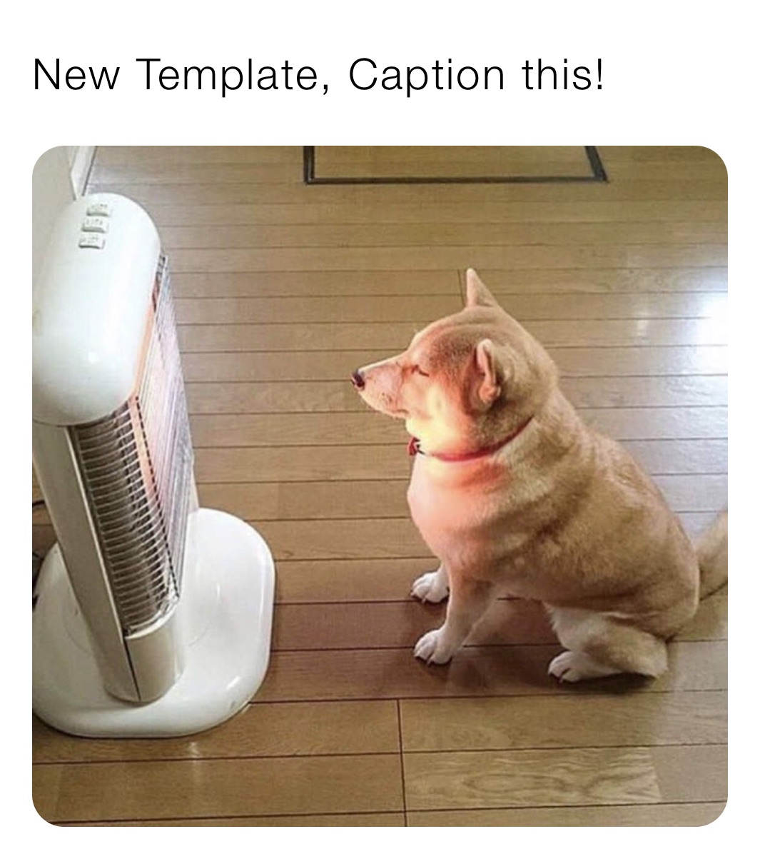 New Template, Caption this!