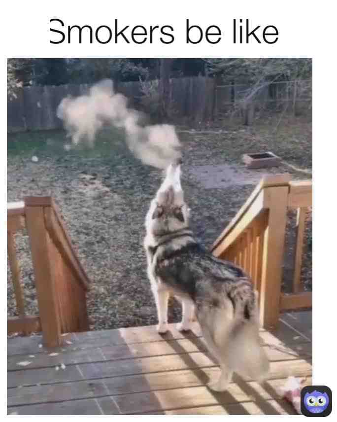 Meme shared by @b2k_leo_786d