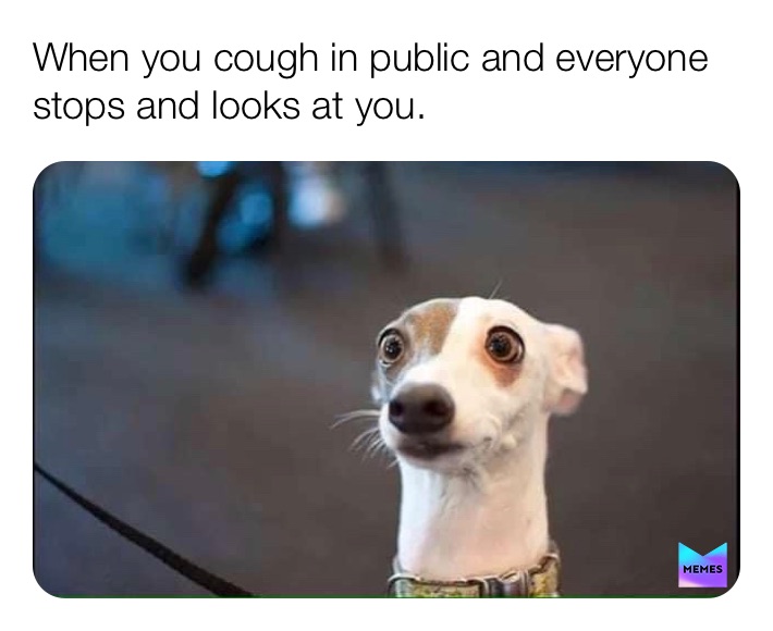 Post by its_cam Memes