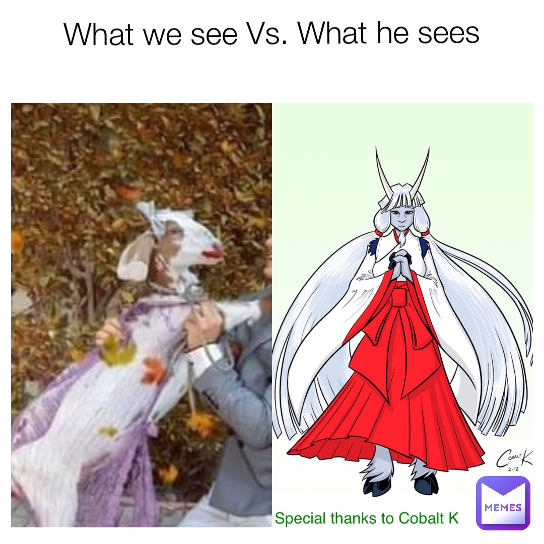 What we see Vs. What he sees Special thanks to Cobalt K