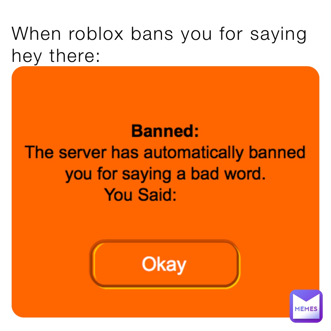 When roblox bans you for saying hey there: Hey there