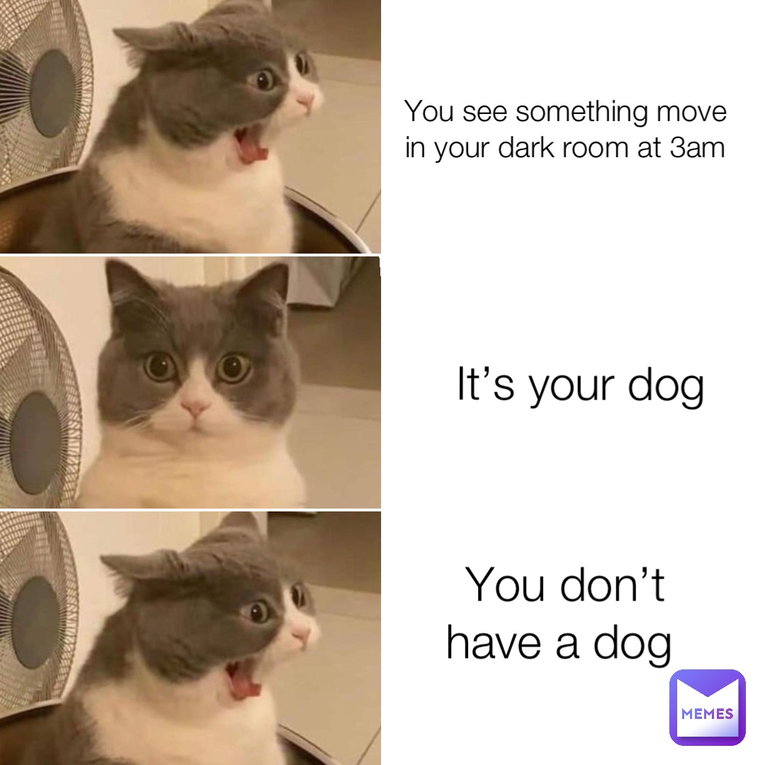 You see something move in your dark room at 3am It’s your dog You don’t have a dog