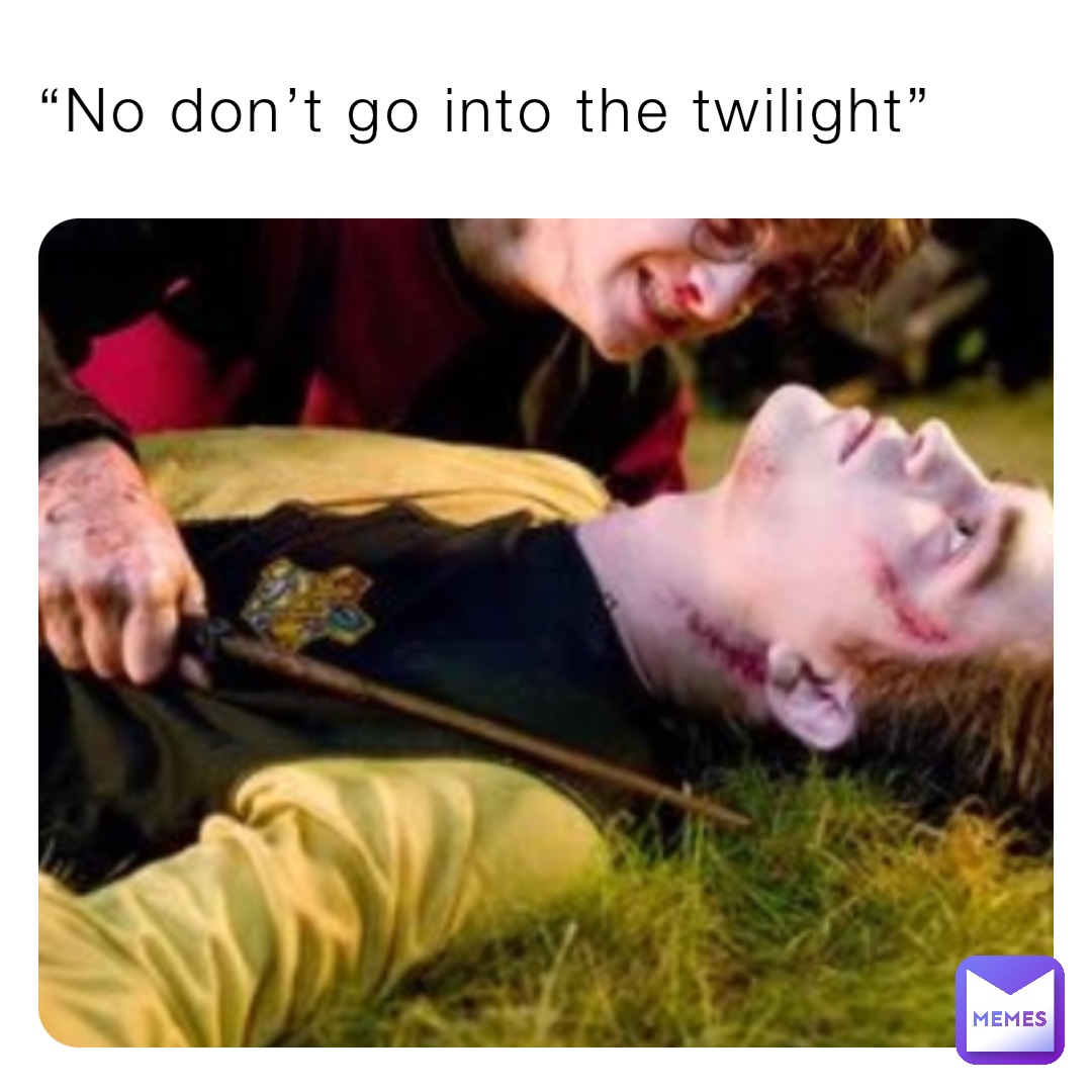 “No don’t go into the twilight”