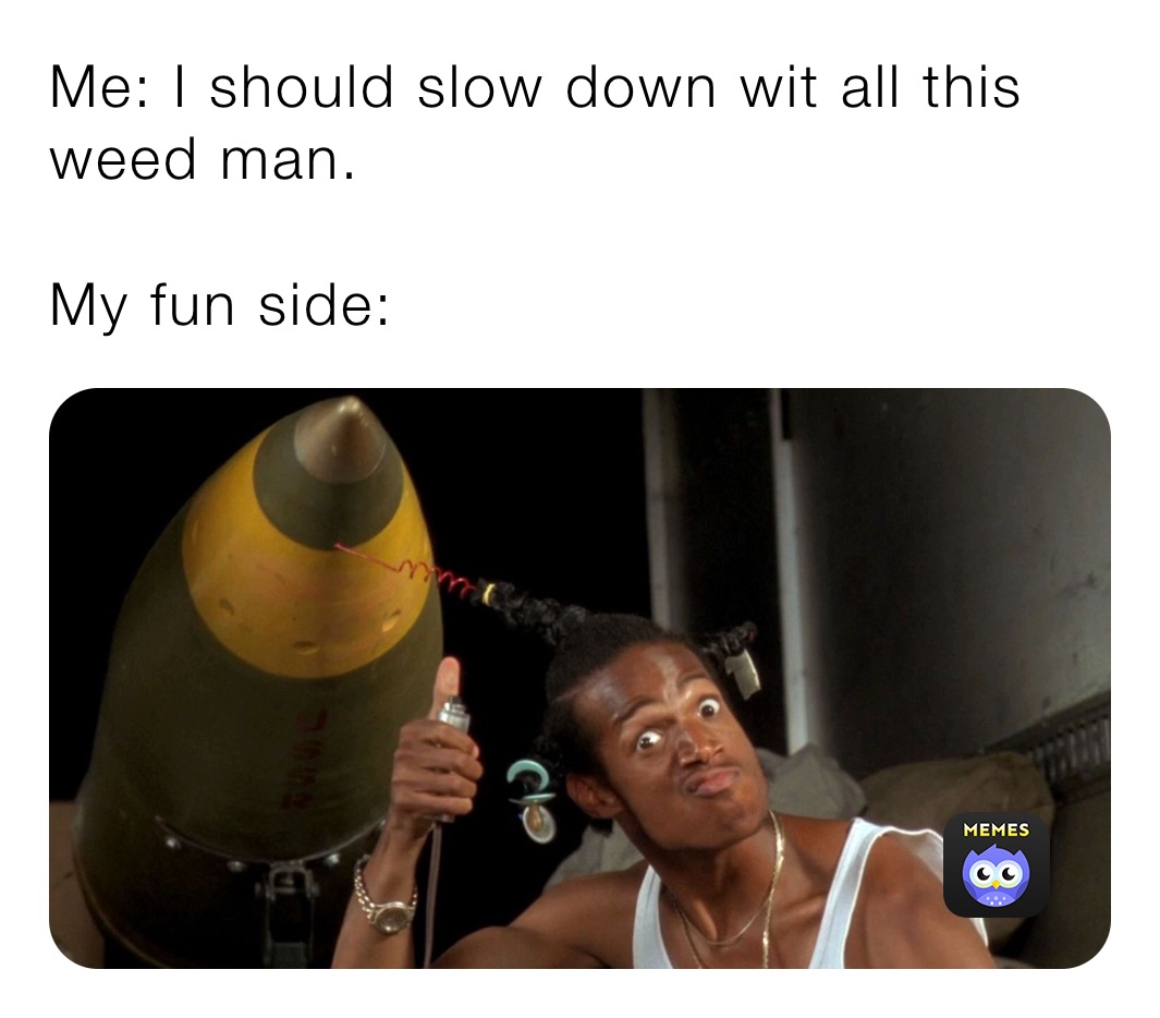 Me: I should slow down wit all this weed man. 

My fun side: