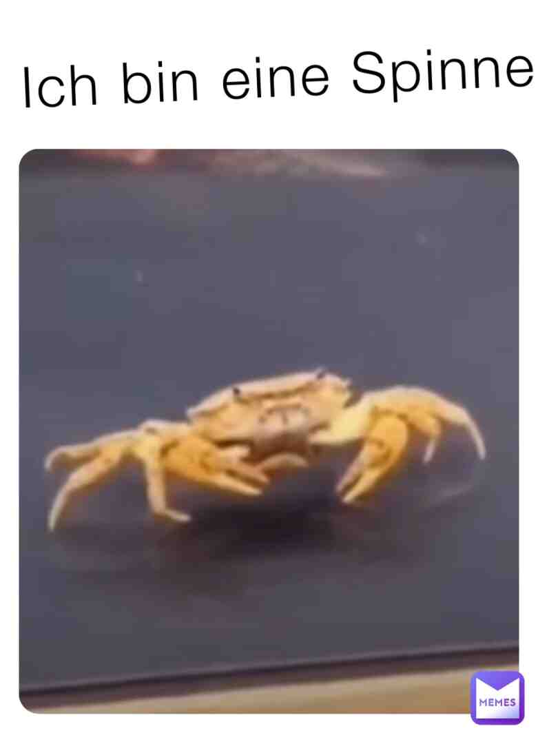 Meme shared by @ferris_1722769449