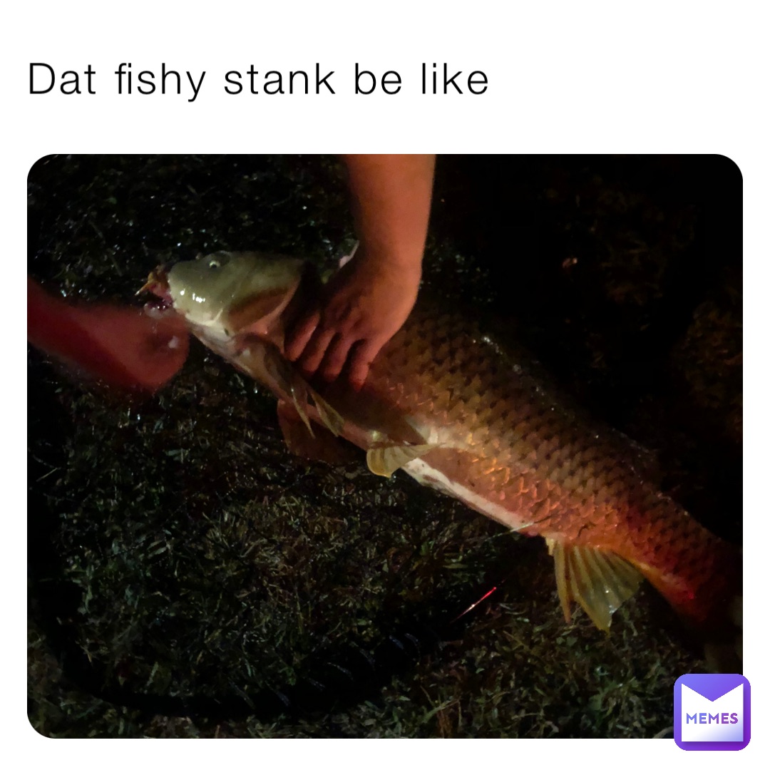 Dat fishy stank be like