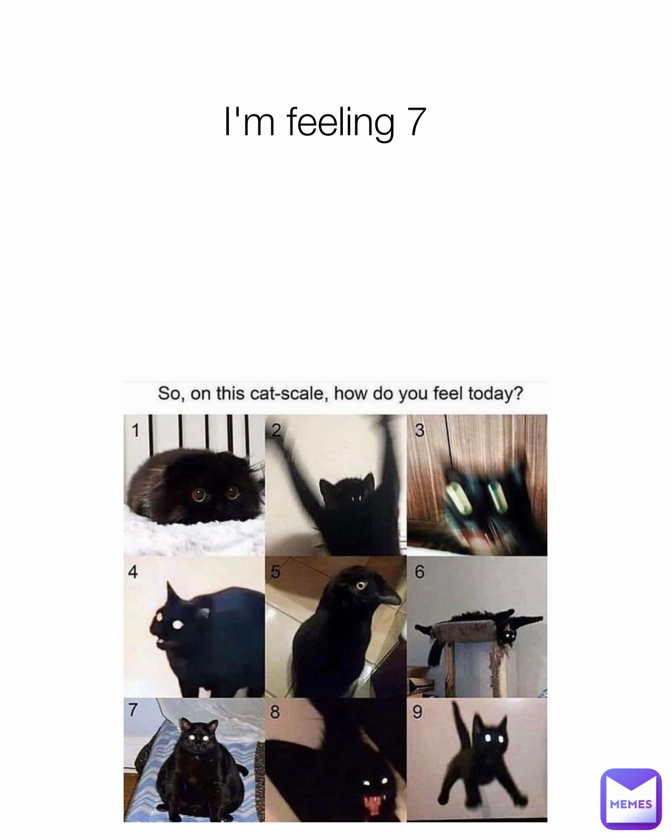 I'm feeling 7 