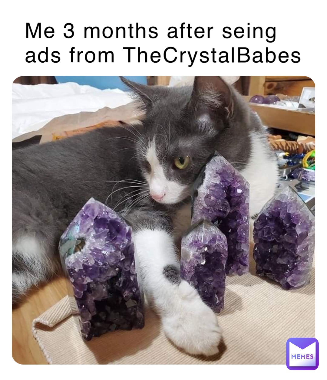 Meme by thecrystalbabes