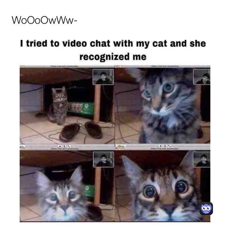 So cute- #bringbackoldmemes #helpme