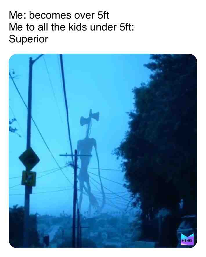 Meme shared by @memesfortheboys