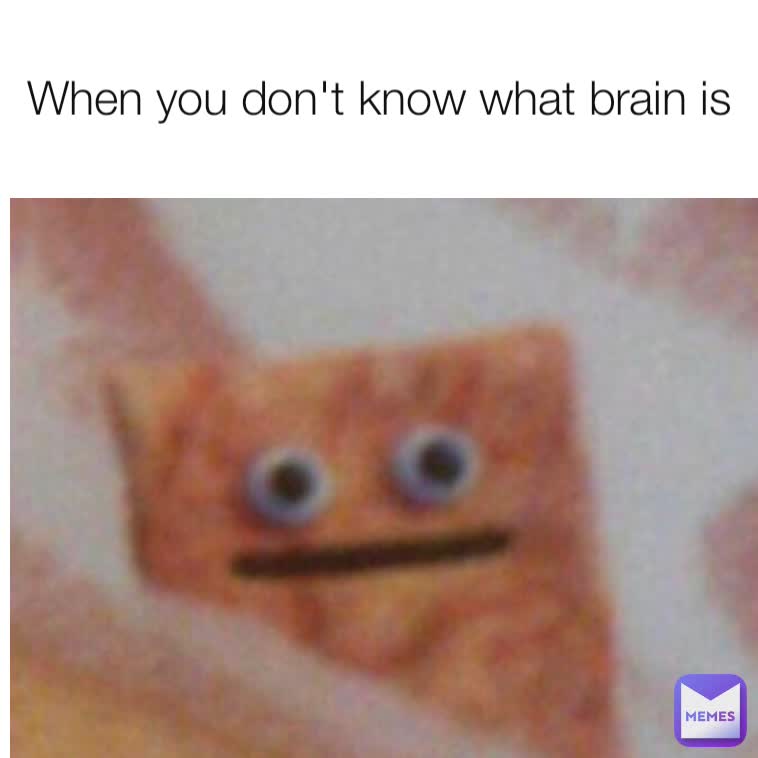 When you don't know what brain is