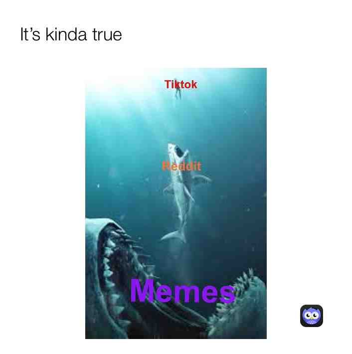 I mean it is kinda #bestmemes #ocean #sharks #Mrprist1ne #youtube