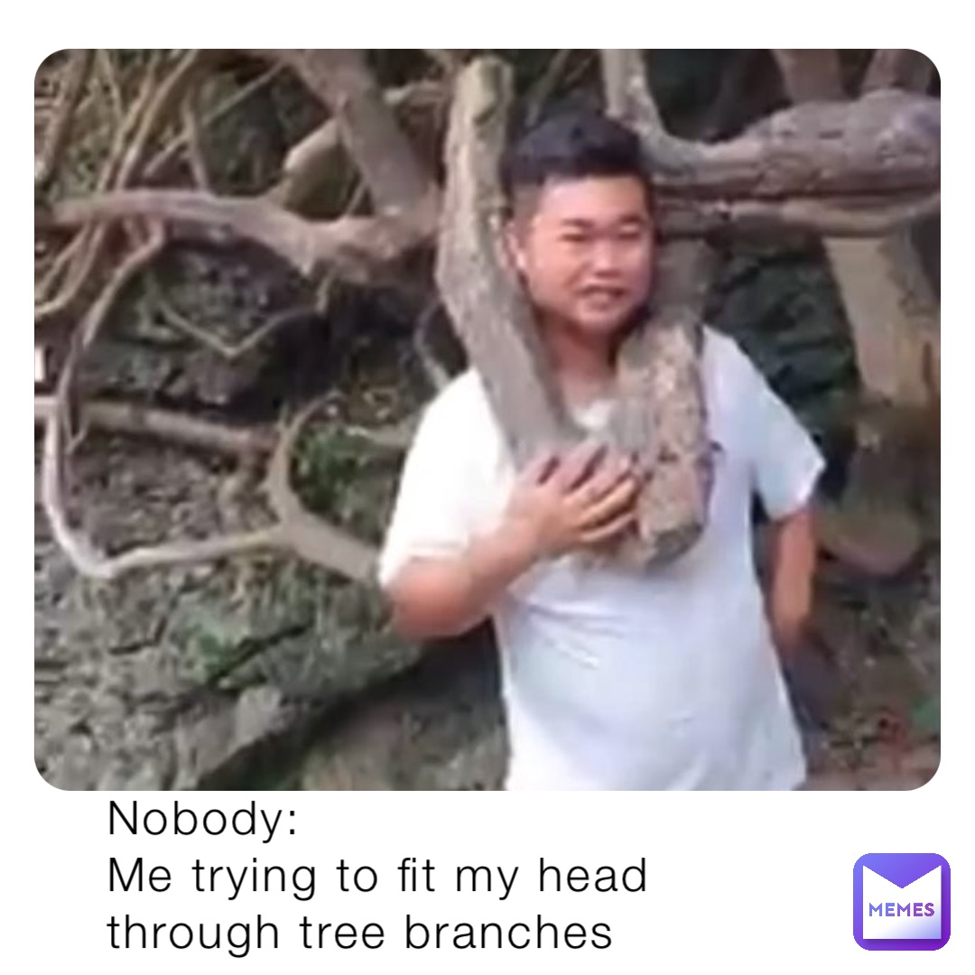 Nobody:
Me trying to fit my head through tree branches