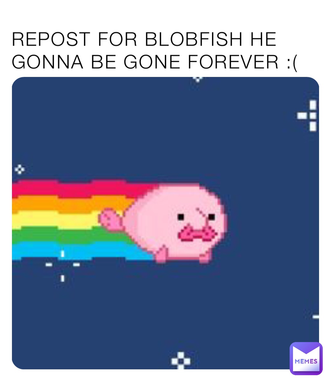 Repost for blobfish he gonna be gone forever :(