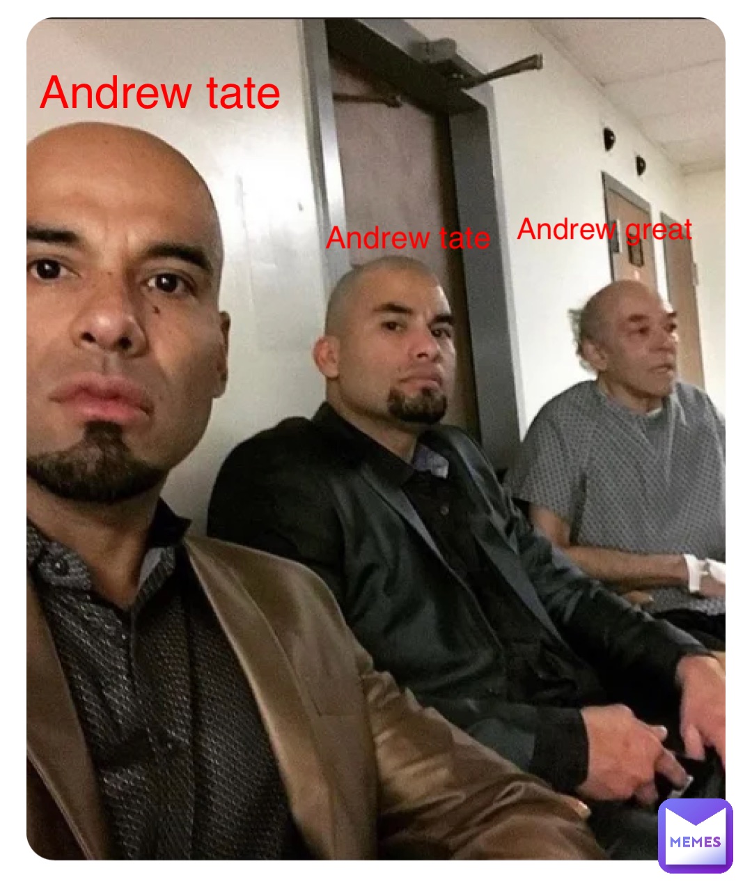 Andrew tate Andrew tate Andrew great