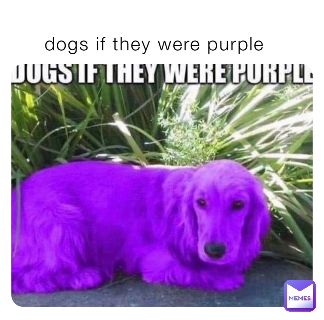 Фиолетовая собака