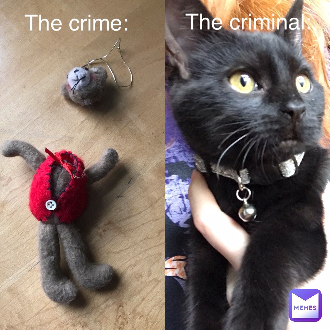 The crime: The criminal: