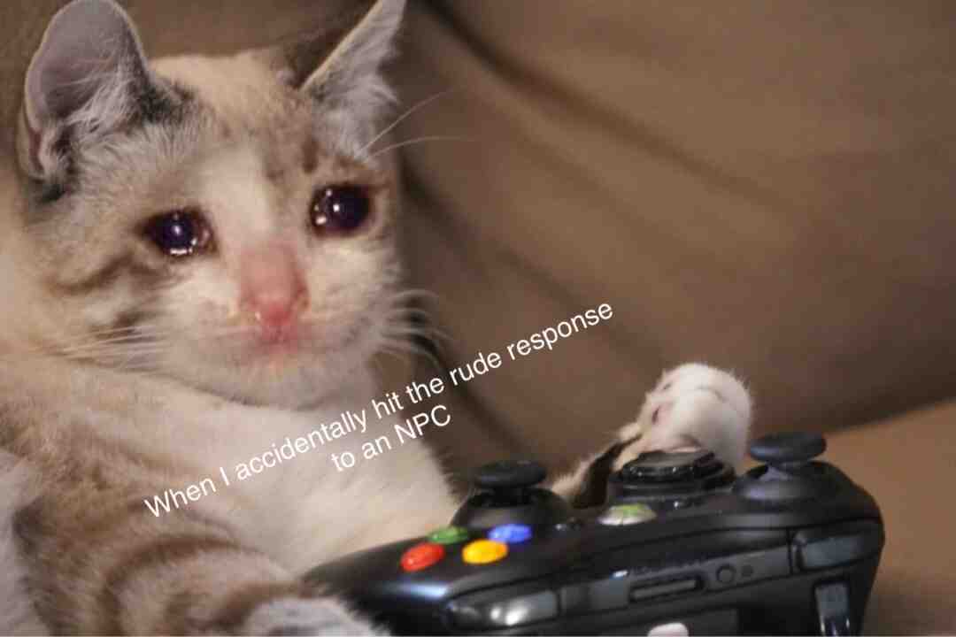 Meme shared by @want2besick