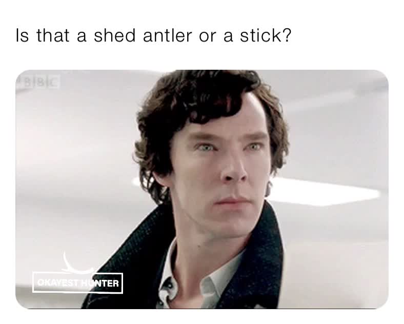 Is that a shed antler or a stick? | @Okayest_Hunter | Memes