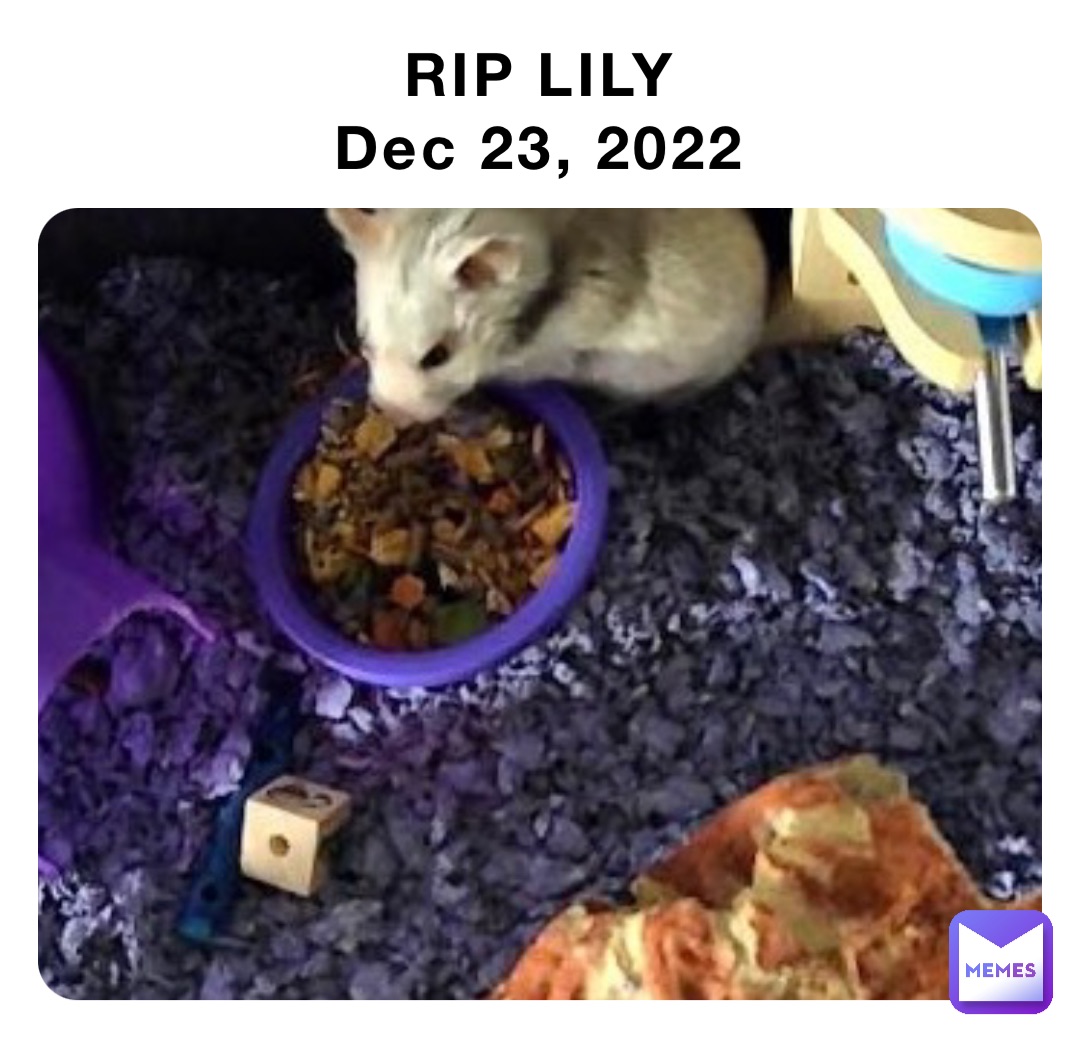 RIP LILY
Dec 23, 2022